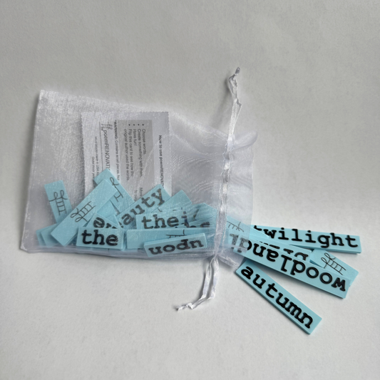 Classic 6 - October Twilight Word Block Set image 0